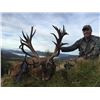 Image 2 : New Zealand Red Stag for 2 with Poronui Hunting