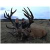 Image 3 : New Zealand Red Stag for 2 with Poronui Hunting