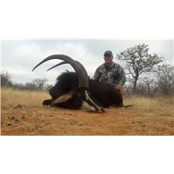 Sable hunt with Ubathi Global Safaris