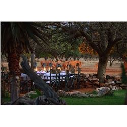 10 Day Namibia Plains Game for 2 hunters