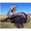 Image 3 : Cape Buffalo up to 37" for 1 hunter & Nyala for 1 hunter & 2 observers with WOW Africa Safaris