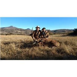 Argentina Red Stag for 2 hunters with Patagonia Hunters