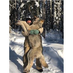 Ultimate Predator Hunt - Canadian Wolf & Coyote Hunt