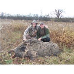 Wild Boar in Serbia with European Hunting Adventures