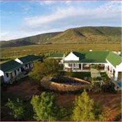 Springbok Grand Slam Split Between 2 Hunters with Royal Karoo Safaris