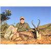 Image 9 : Springbok Grand Slam Split Between 2 Hunters with Royal Karoo Safaris