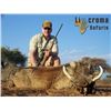 Image 6 : Plains Game Safari for 2 hunters with Limcroma Ssafaris