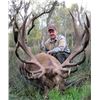 Image 3 : Scotland Red Stag for 1 hunter with International Adventures Unlimited