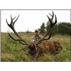 Image 5 : Scotland Red Stag for 1 hunter with International Adventures Unlimited