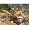 Image 1 : Spain Hunt with Giuseppe Carrizosa