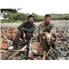 Image 5 : Spain Hunt with Giuseppe Carrizosa