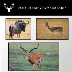Southern Cross Safari for up to 4 hunters