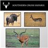 Image 1 : Southern Cross Safari for up to 4 hunters