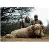 Image 5 : 7 Day Argentinian TX Dall Ram, Wild Boar & Hybrid Sheep for 2 Hunters with Quebrachal Ranch