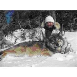 Wolf Hunt with Kap Rivers Outfitters
