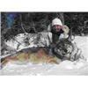 Image 1 : Wolf Hunt with Kap Rivers Outfitters