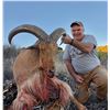 Image 2 : Free Range Aoudad Hunt for 1 hunter in Marfa, TX