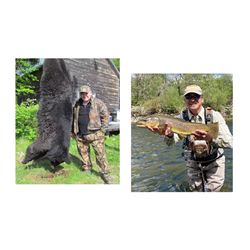 6 Day Guided Black Bear Hunt for One Hunter