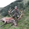 Image 1 : 5 Day/4 Night Red Stag up to 360 for 1 Hunter