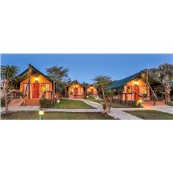 6 Day, 6 Night Photo Safari for Two