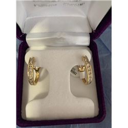 Diamond Hoop Earrings