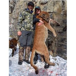 5 Day Female Mountain Lion for One Hunter