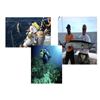 Image 1 : 6 Day/5 Night Fishing and Dive Package for Two People