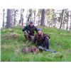 Image 2 : 3 Day Management Columbia Black Tail Buck & Wild Boar for One Hunter