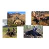 Image 1 : 8 Day Canadian Moose, Black Bear & Wolf Hunt for One Hunter