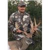 Image 1 : 3 Day Whitetail up to 180” (170-180”) Hunt for One Hunter