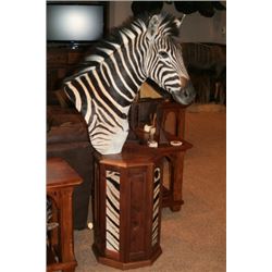 $500 Taxidermy Gift  Certificate  Donated by MN Valley Taxidermy