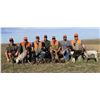 Image 1 : 2 Day South Dakota Pheasant Hunt for 3 people Donated by Prairie Outfitters