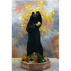 $500 Taxidermy Gift Certificate donated by Wild Woods Taxidermy