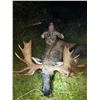 Image 1 : 9 Day Moose Hunt in Russia for Eurasian Moose for 1 Hunter Donated by  The Sporting Trader and Denis