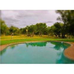 6 day Photographic Safari Donated by Marupa Safaris