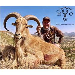 3.5 day Free Range West Texas Aoudad Hunt for 2 hunters Donated By High West Outfitters