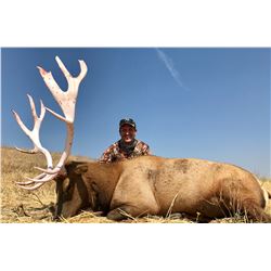 7 Day California Tule Elk Hunt Donated by Nolan Twisselman Outfitters