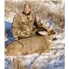Image 1 : 5 Day Montana Mule Deer or Whitetail Hunt Donated by DD Outfitters
