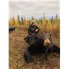Image 4 : 7 Day Trophy Black Bear Hunt Donated by Over the Counter Statewide Big Bear Specialist