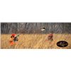 Image 1 : 10 Bird Pheasant Hunt and a 1 year membership Donated by Caribou Gun Club