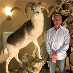 $500 Taxidermy Gift Certificate Valid for new work only Donated by Toms Taxidermy