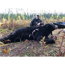 7 Day Trophy Black Bear Hunt Donated by Over the Counter Statewide Big Bear Specialist