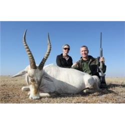 10 days 2- hunters and 2 Non-Hunter, choose from either a Springbuck grand slam hunt, Blesbuck Grand