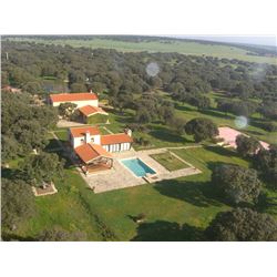 Trophy Red deer hunt  OR a Trophy Fallow deer hunt OR  a Trophy Mouflon sheep hunt  (hunter´s choice