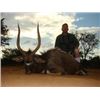 Image 1 : 10 Day 8 Hunting Days 2 Hunters $ 4000 credit to be shared in South Africa Donated by Marupa Safaris