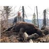 Image 1 : 7 day spring bear/wolf combination hunt in the Selway of Idaho for one hunter Donated by Richie Outf