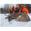 Image 1 : November 2020 Wisconsin Whitetail deer hunt, at Jay links Cabin Donated by Links Wild Safaris