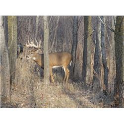 3 day whitetail hunt up to 200 inch, includes meals, lodging Donated By Crow River Whitetails