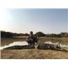 Image 2 : 7 day Hippo and Nile crocodile hunt for one hunter and one observer in South Africa