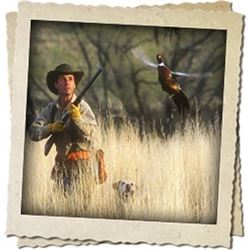 2 Day  3 night South Dakota All-Inclusive Pheasant Hunt for Four Hunters